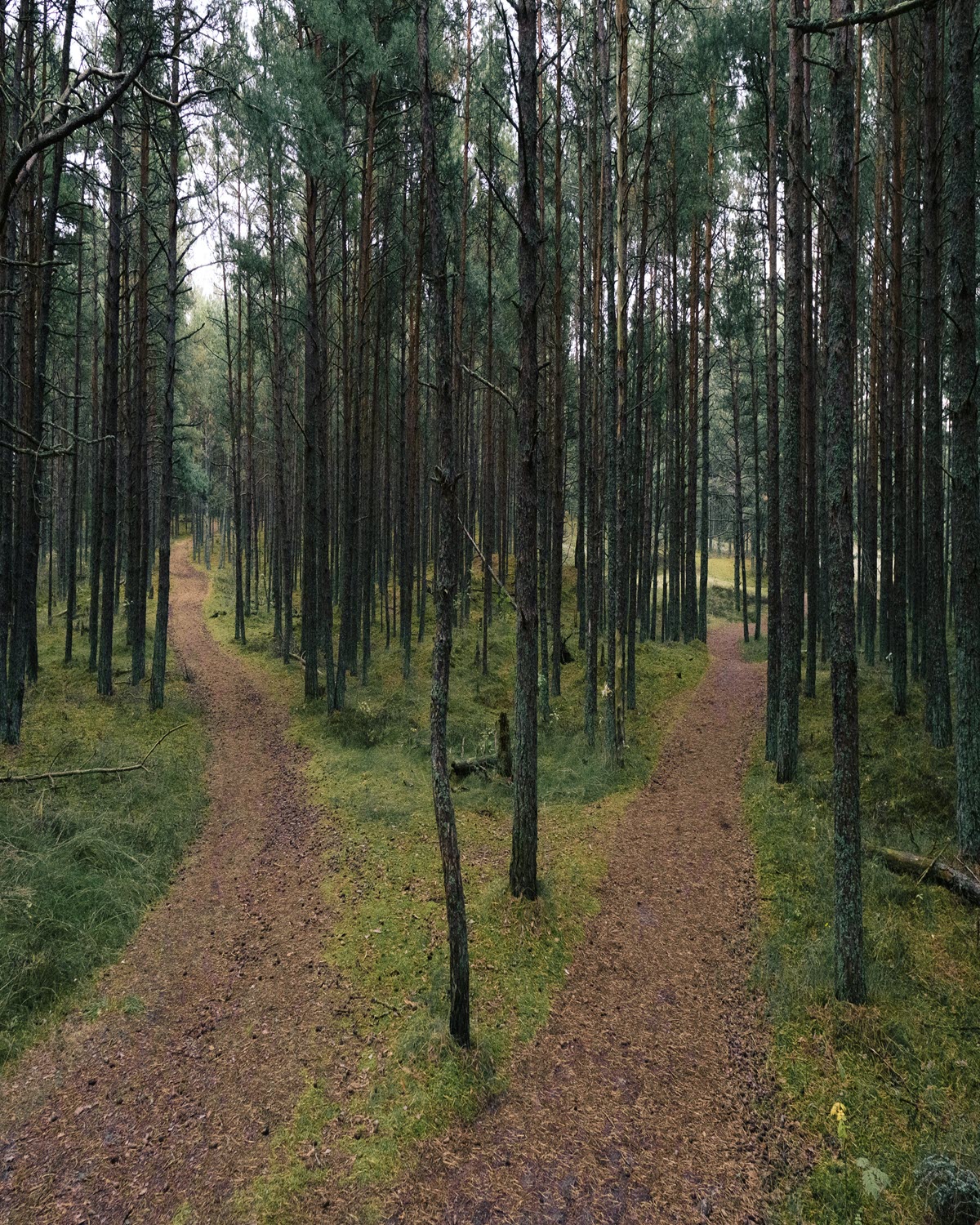2Paths_1200x1500