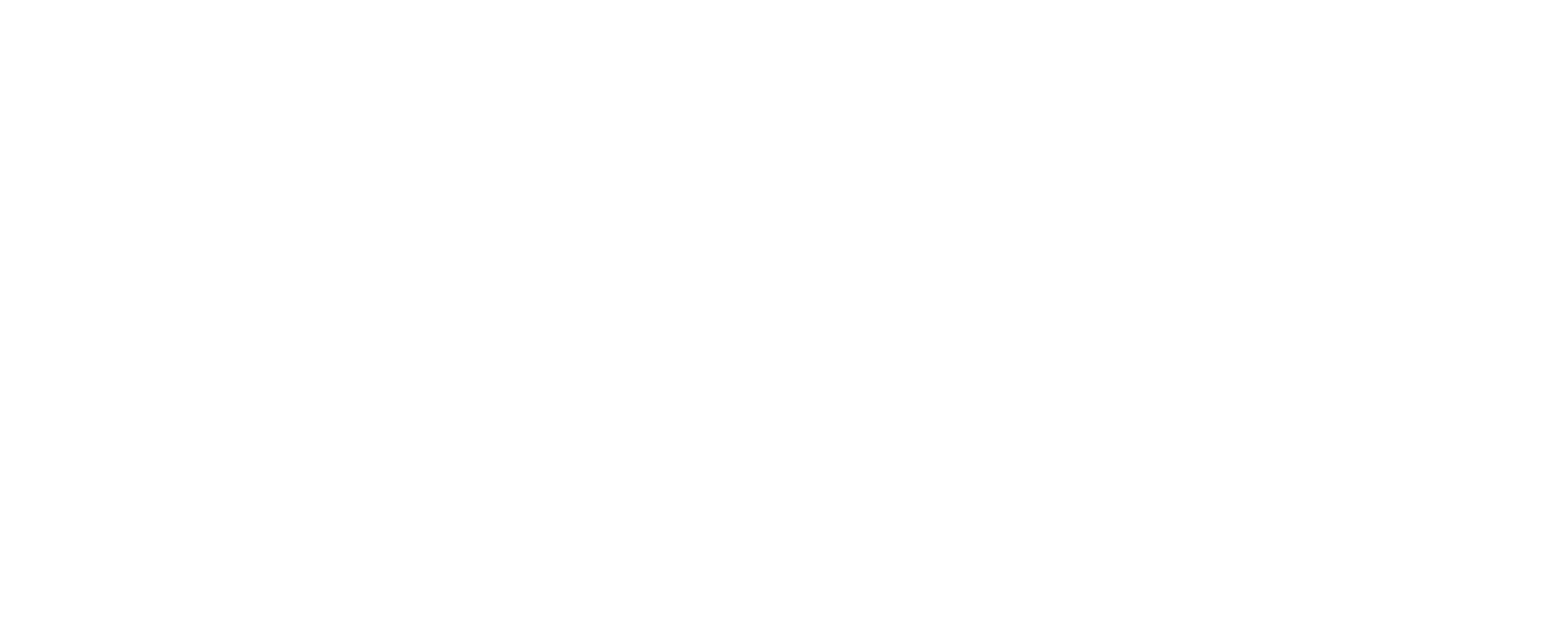 CapitalForce-Logo-White